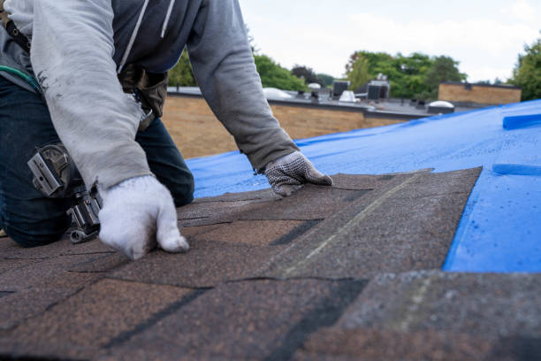 Best Roof Waterproofing Services  in Grand Mound, WA